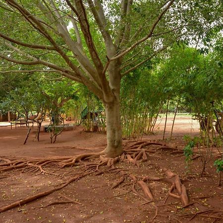 Our Native Village Gadigarpalya Exterior foto