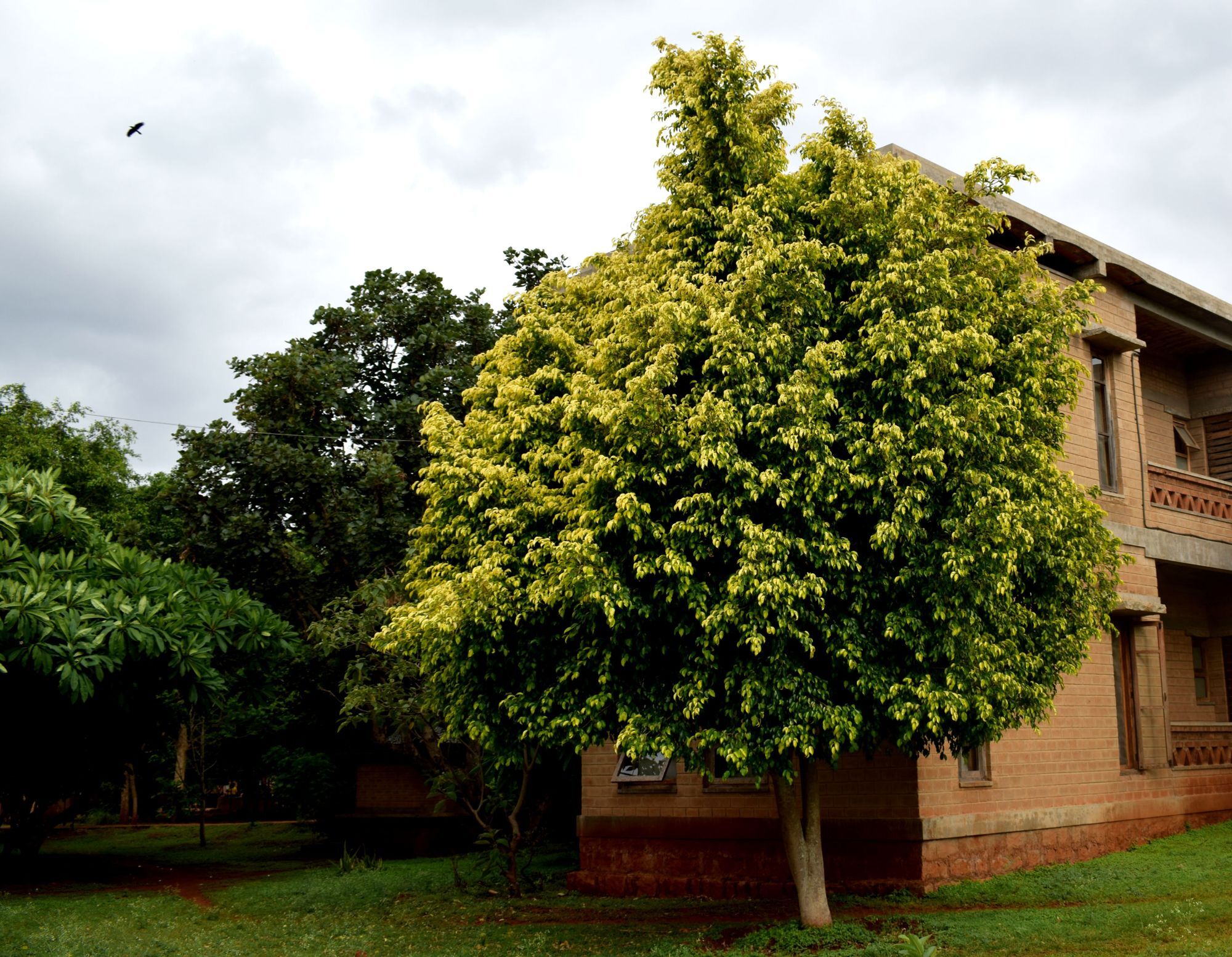 Our Native Village Gadigarpalya Exterior foto