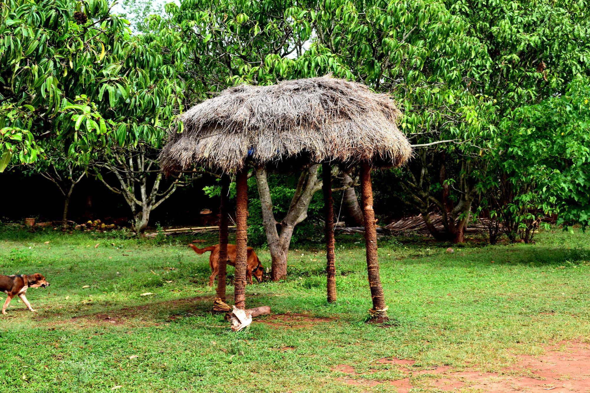 Our Native Village Gadigarpalya Exterior foto